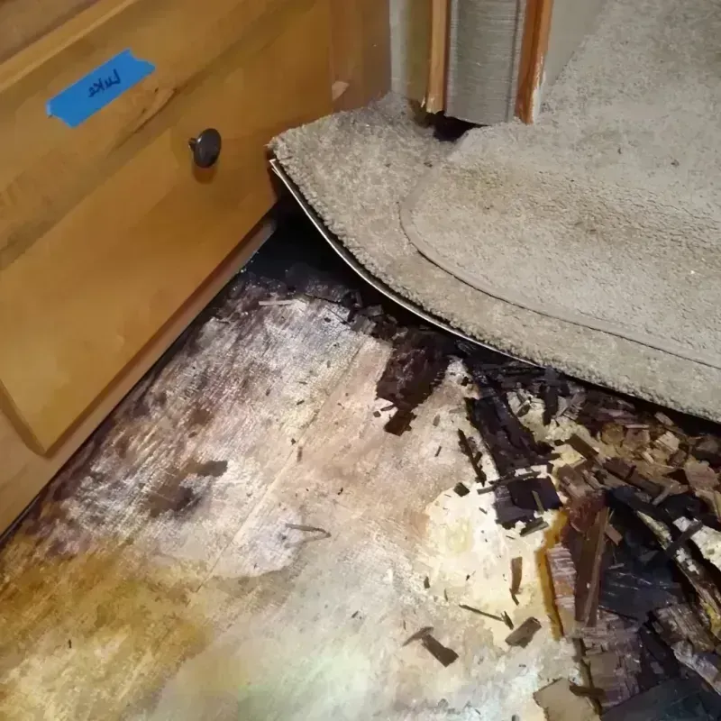 Wood Floor Water Damage in Sawgrass, FL